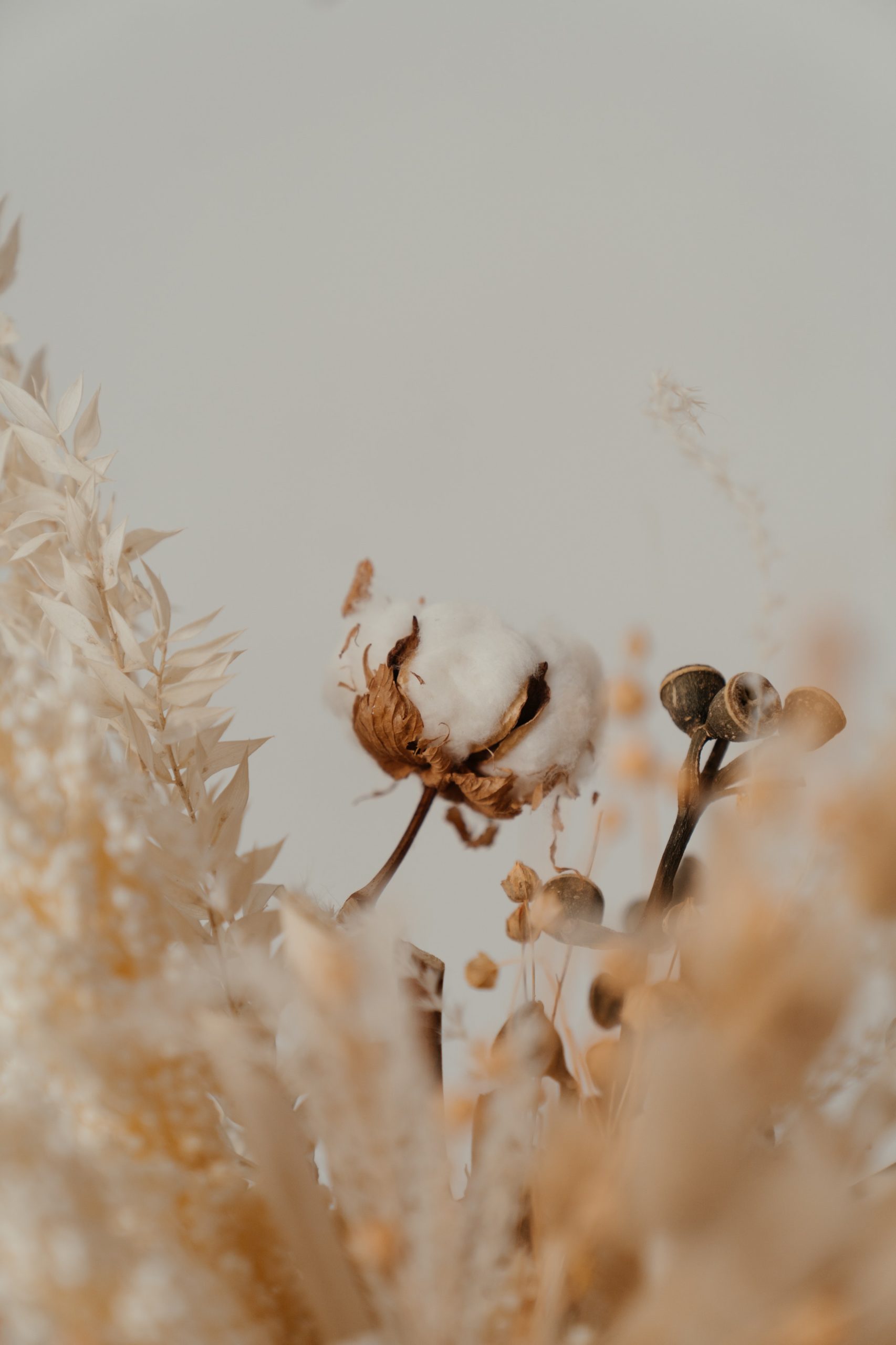 pexels-cottonbro-4273425