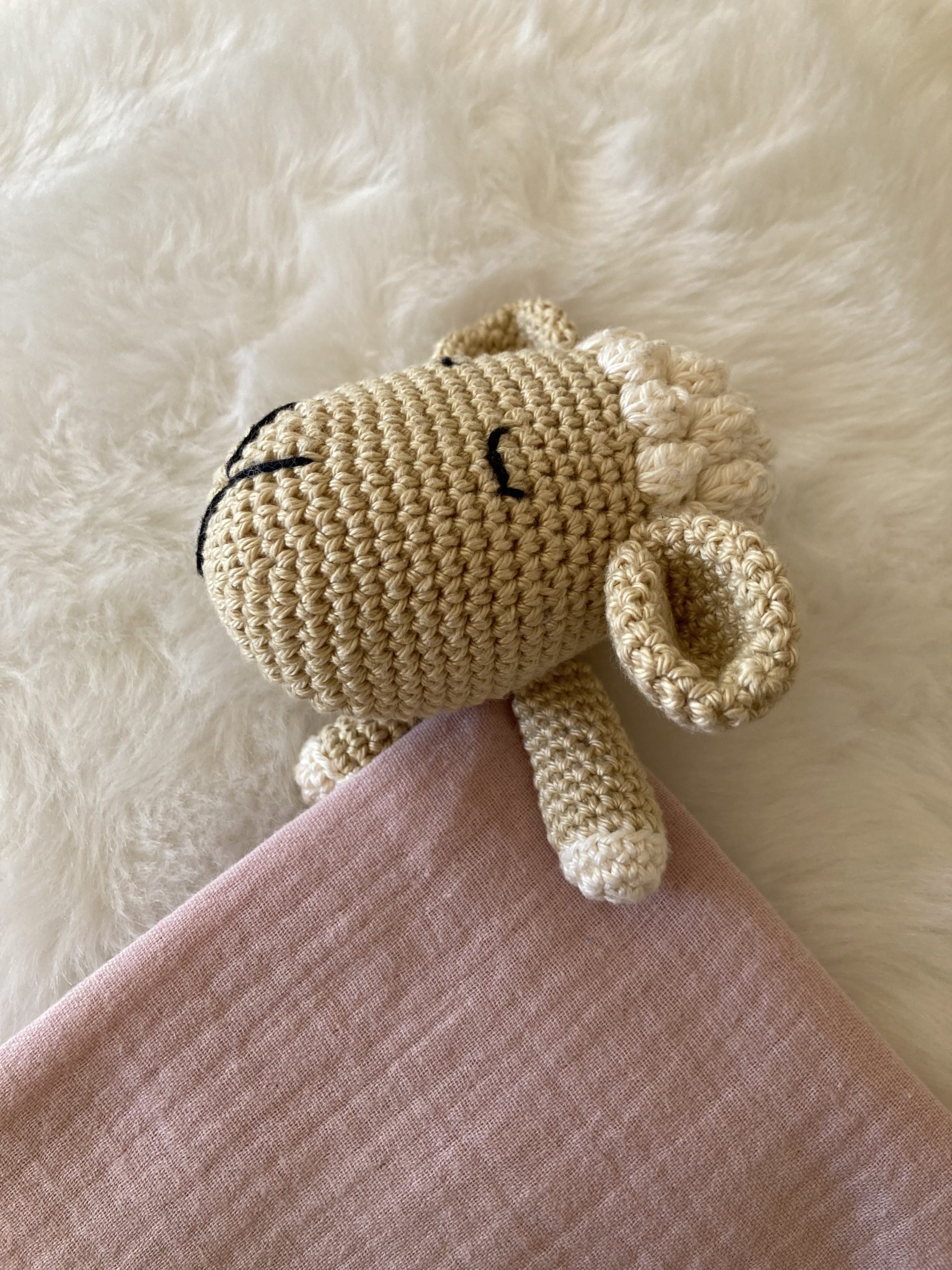 Mouton 1
